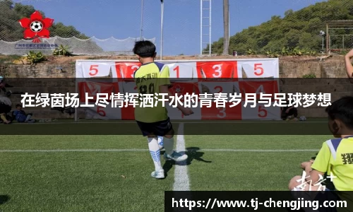 在绿茵场上尽情挥洒汗水的青春岁月与足球梦想